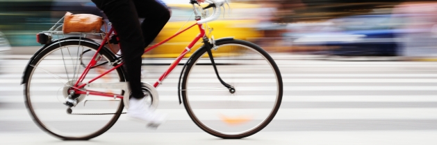 Avantpage Translators: 3 Quick Facts