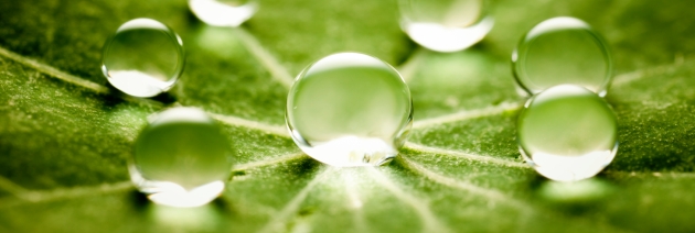 Translation Helps California Water Agencies Communicate While Staying in Compliance