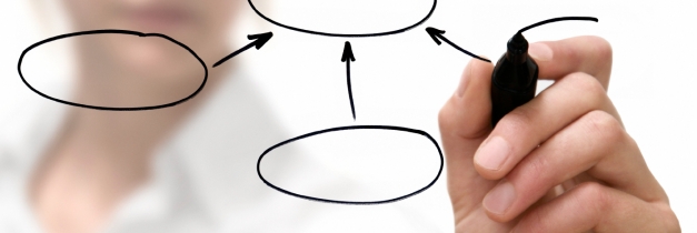 Case Study: Alameda Alliance for Health